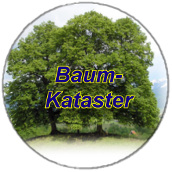 Baumkataster