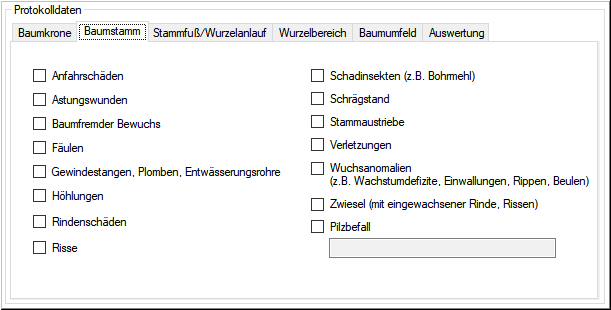 Protokoll-Baumstamm